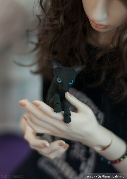 Моя коллекция котиков — Коллекции игровых кукол (Playline): фото полок (фото 6)