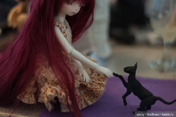 Моя коллекция котиков — Коллекции игровых кукол (Playline): фото полок (фото 3)