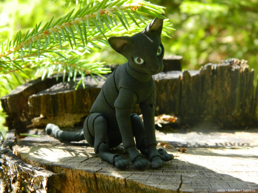 Моя коллекция котиков — Коллекции игровых кукол (Playline): фото полок