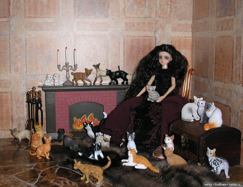 Моя коллекция котиков — Коллекции игровых кукол (Playline): фото полок