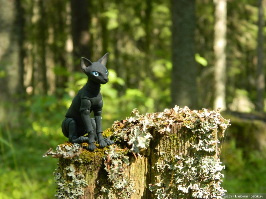 Моя коллекция котиков — Коллекции игровых кукол (Playline): фото полок (фото 2)