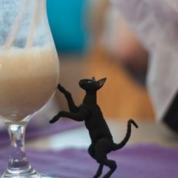 Моя коллекция котиков