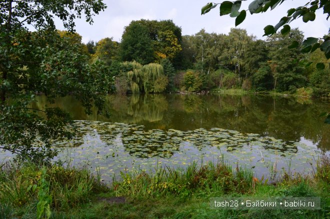 Краски осени. Irrealdoll — Куклы Irrealdoll (Ирреалдолл): BJD (БЖД)