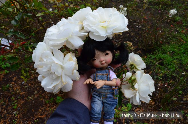 Краски осени. Irrealdoll — Куклы Irrealdoll (Ирреалдолл): BJD (БЖД) (фото 6)