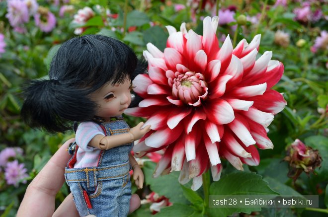 Краски осени. Irrealdoll — Куклы Irrealdoll (Ирреалдолл): BJD (БЖД)