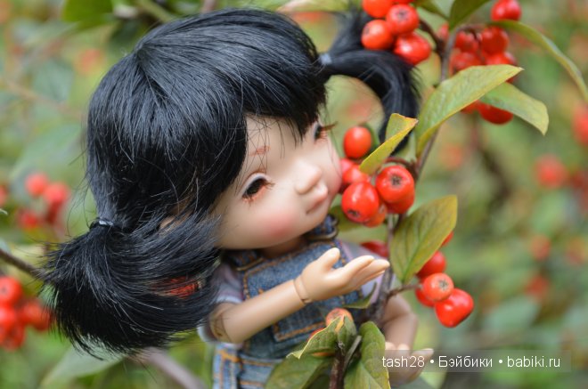 Краски осени. Irrealdoll — Куклы Irrealdoll (Ирреалдолл): BJD (БЖД)