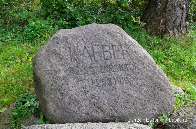 Краски осени. Irrealdoll — Куклы Irrealdoll (Ирреалдолл): BJD (БЖД)