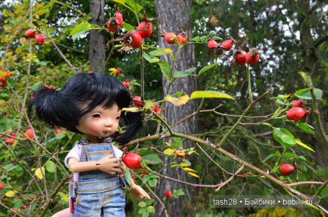 Краски осени. Irrealdoll — Куклы Irrealdoll (Ирреалдолл): BJD (БЖД)