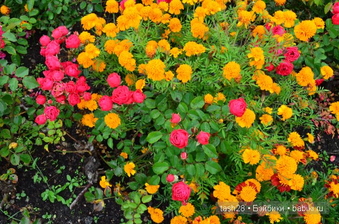 Краски осени. Irrealdoll — Куклы Irrealdoll (Ирреалдолл): BJD (БЖД) (фото 4)