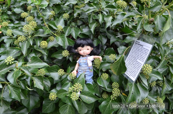 Краски осени. Irrealdoll — Куклы Irrealdoll (Ирреалдолл): BJD (БЖД)