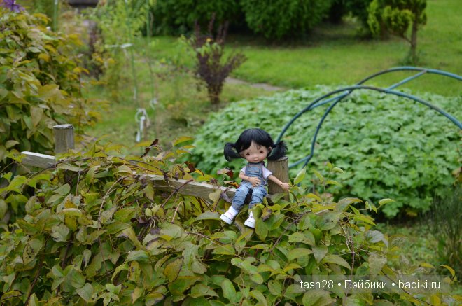 Краски осени. Irrealdoll — Куклы Irrealdoll (Ирреалдолл): BJD (БЖД)