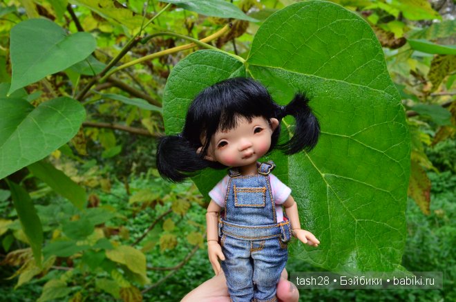 Краски осени. Irrealdoll — Куклы Irrealdoll (Ирреалдолл): BJD (БЖД)