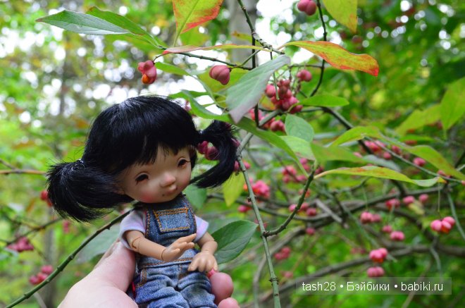 Краски осени. Irrealdoll — Куклы Irrealdoll (Ирреалдолл): BJD (БЖД)