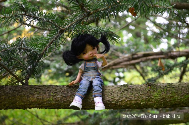 Краски осени. Irrealdoll — Куклы Irrealdoll (Ирреалдолл): BJD (БЖД)