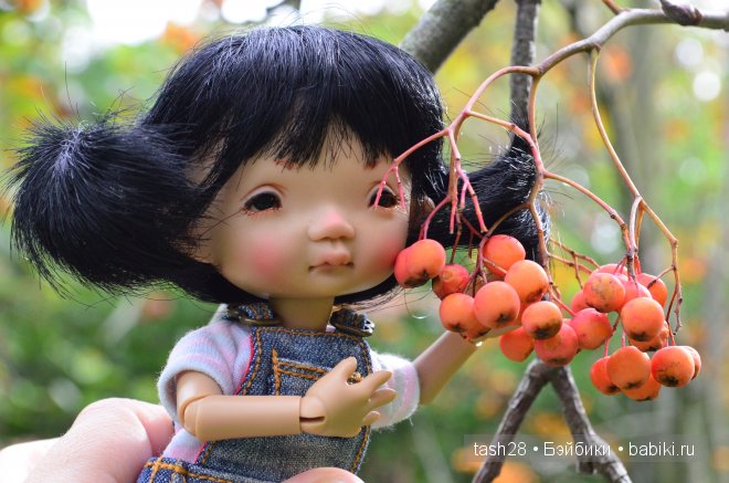 Краски осени. Irrealdoll — Куклы Irrealdoll (Ирреалдолл): BJD (БЖД)
