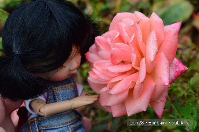 Краски осени. Irrealdoll — Куклы Irrealdoll (Ирреалдолл): BJD (БЖД)