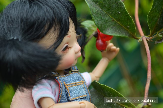 Краски осени. Irrealdoll — Куклы Irrealdoll (Ирреалдолл): BJD (БЖД)