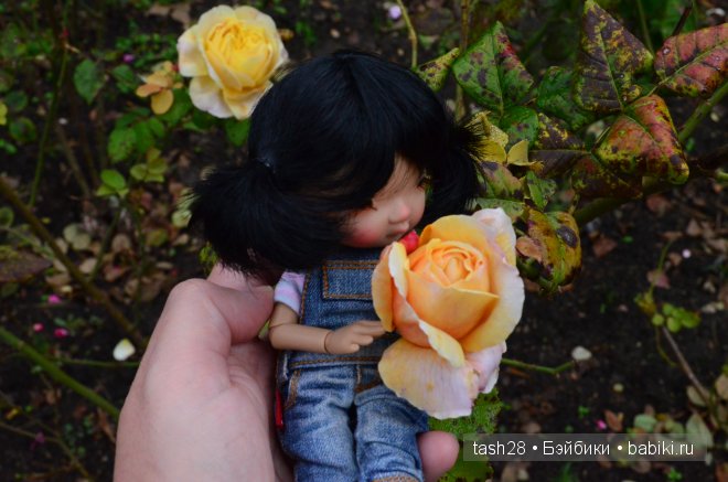 Краски осени. Irrealdoll — Куклы Irrealdoll (Ирреалдолл): BJD (БЖД) (фото 10)