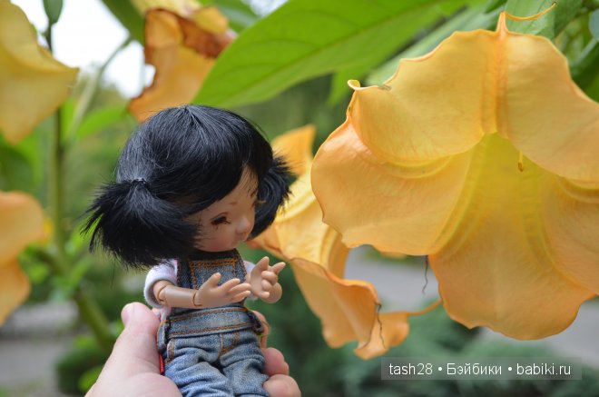 Краски осени. Irrealdoll — Куклы Irrealdoll (Ирреалдолл): BJD (БЖД)