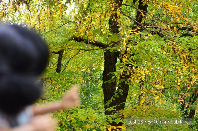 Краски осени. Irrealdoll — Куклы Irrealdoll (Ирреалдолл): BJD (БЖД)