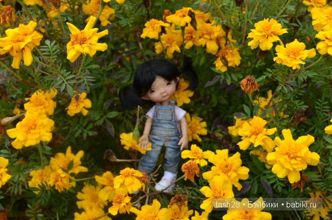 Краски осени. Irrealdoll — Куклы Irrealdoll (Ирреалдолл): BJD (БЖД)