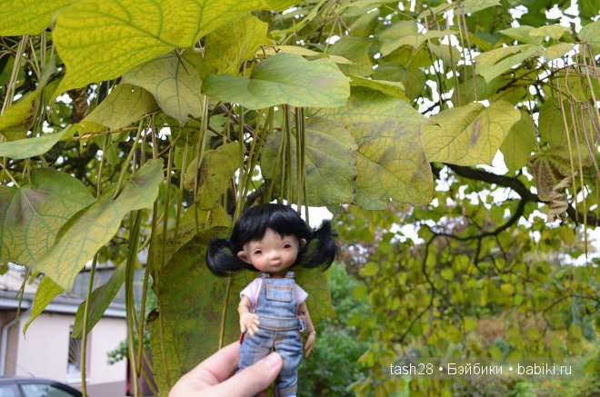 Краски осени. Irrealdoll — Куклы Irrealdoll (Ирреалдолл): BJD (БЖД)