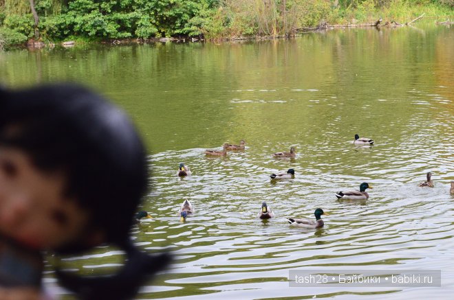 Краски осени. Irrealdoll — Куклы Irrealdoll (Ирреалдолл): BJD (БЖД)