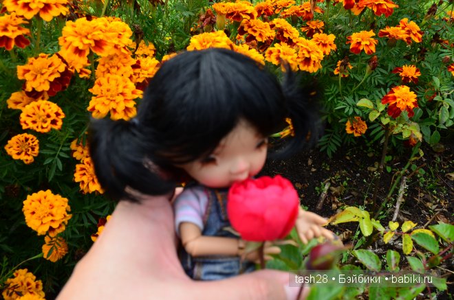 Краски осени. Irrealdoll — Куклы Irrealdoll (Ирреалдолл): BJD (БЖД)