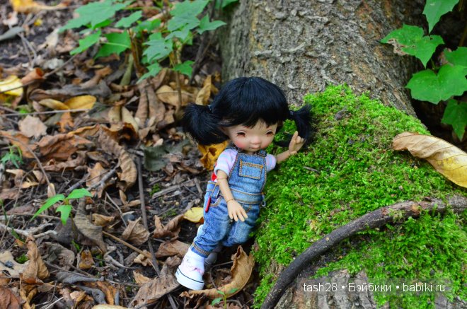 Краски осени. Irrealdoll — Куклы Irrealdoll (Ирреалдолл): BJD (БЖД)