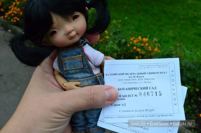 Краски осени. Irrealdoll — Куклы Irrealdoll (Ирреалдолл): BJD (БЖД) (фото 3)