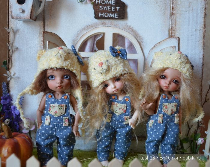 Пополнение в моей БЖД семье (фото 4)