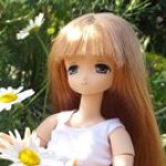 Азоночки. Летние будни