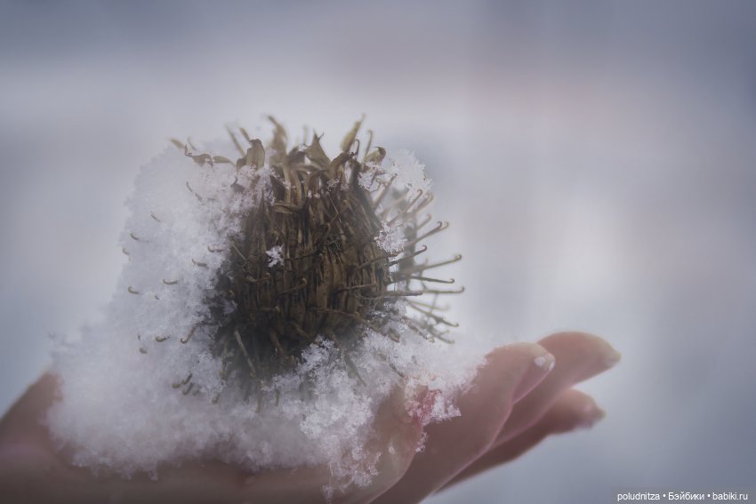 Весенний снег — Куклы Iplehouse (Иплхаус): BJD (БЖД) (фото 10)