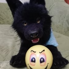 Мой домашний волчок