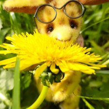 Солнечный малыш