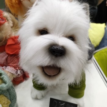 Бал кукол в Москве 12-15.06.2025 часть 3