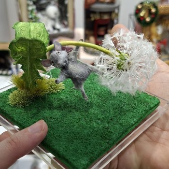 Hello Teddy 2025. Часть 2