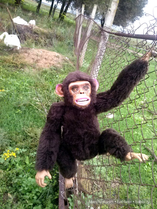 Чамли. Авторская игрушка Манжос Л.И.