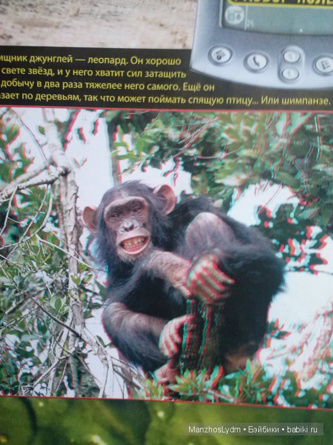 Фото,вдохновившее меня на эту поделку