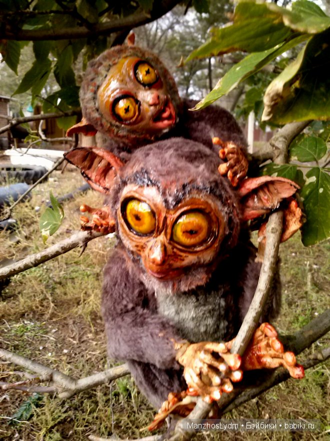 Долгопяты. Автор Манжос Л.