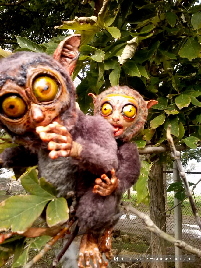 Долгопяты. Автор Манжос Л.