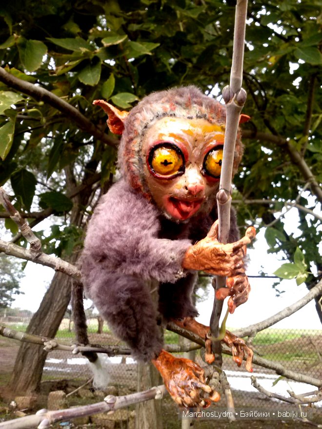 Долгопяты. Автор Манжос Л.