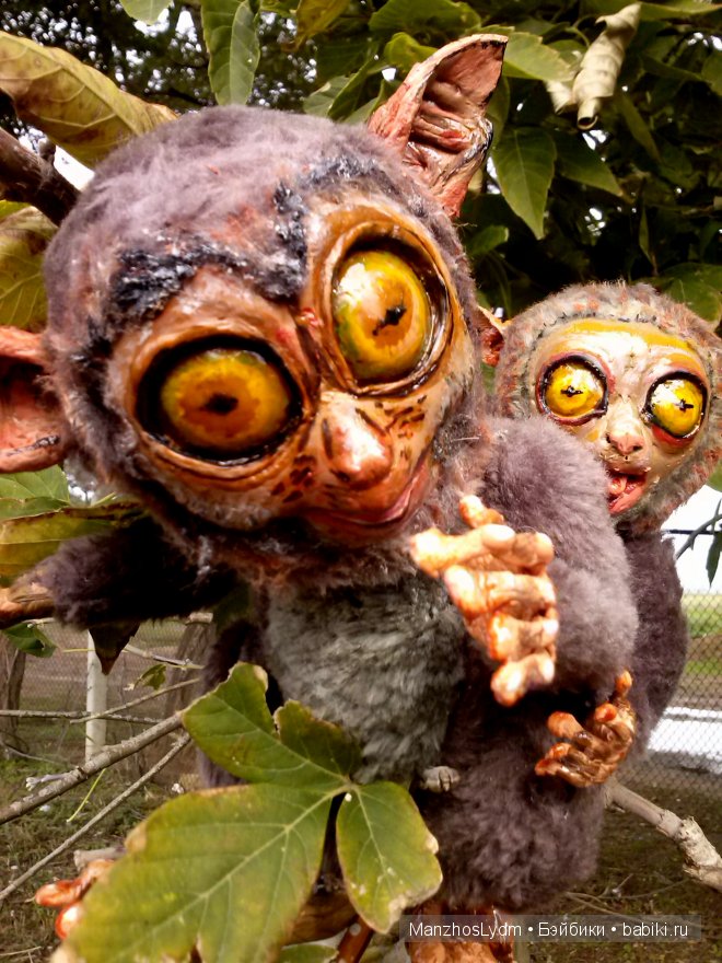 Долгопяты. Автор Манжос Л.