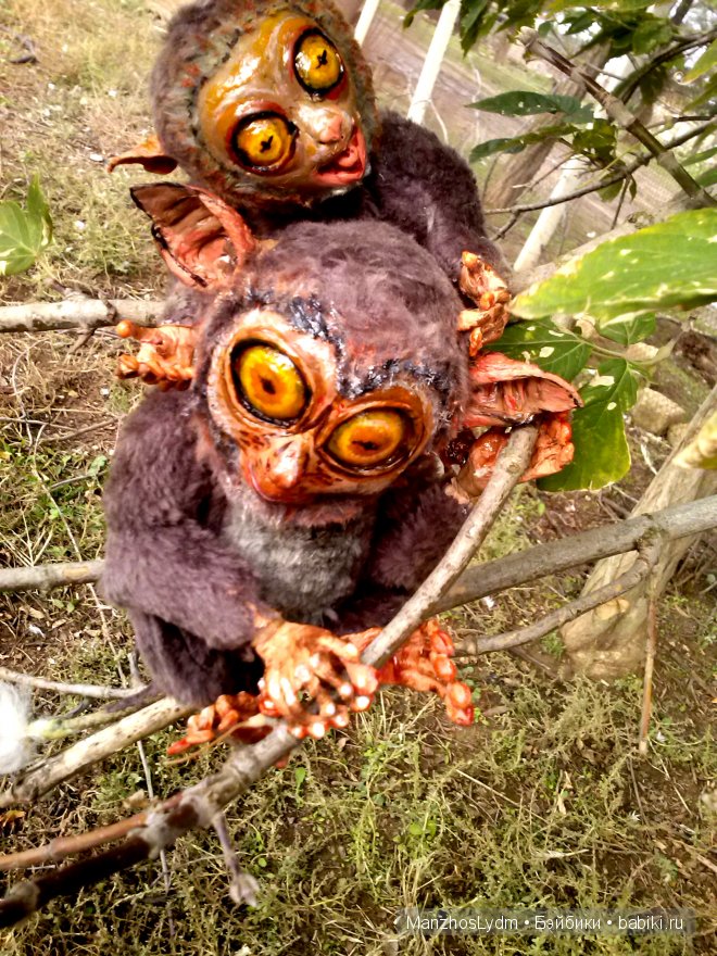 Долгопяты. Автор Манжос Л.