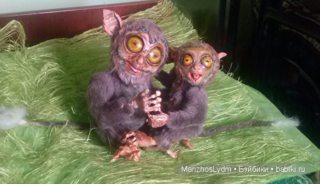 Долгопятики. Работа Манжос Л.