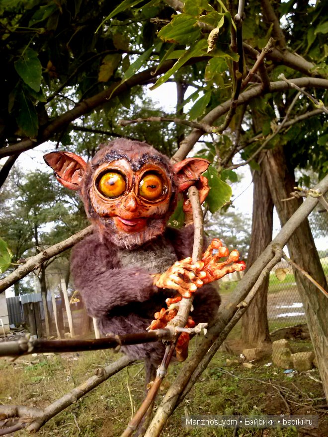 Долгопяты. Автор Манжос Л.