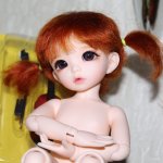 А у нас пополнение в семье! Приезд Васьки!