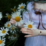 Чиана. Краски лета. Dollmore, Zaoll