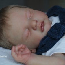 Sam by Gudrun Legler. Работа Екатерины Усенко