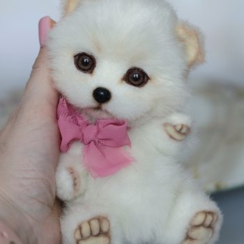 Мишутка Луиза